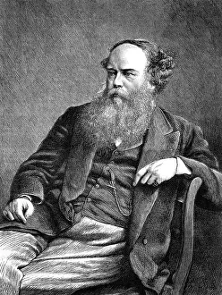 Birket: BIRKET FOSTER