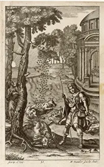 Swarm: BIRTH OF APICULTURE