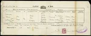 Sanderson: BIRTH CERTIFICATE 1901