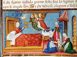 Pigeon: Birth of Mary. Codex of Predis (1476). Italy