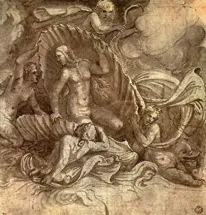 Giulio: Birth of Venus