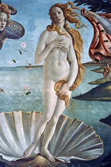 Patronage: The Birth of Venus Artist: Sandro Botticelli