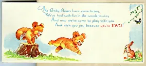 Rabbits: Birthday Card, You're Two Today, Bear Cubs