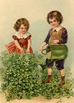Picks: Birthday Clover