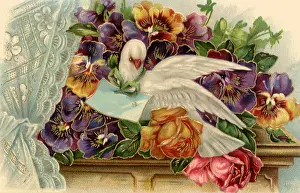 Sill: Birthday Greetings