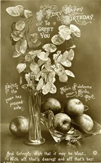 Pods: Birthday postcard, Honesty pods and apples