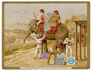 Indus: Biscuits for Brits