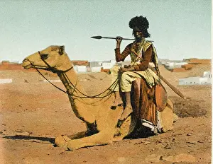 Bisharin: Bisharin Man holding a spear, whilst riding his camel
