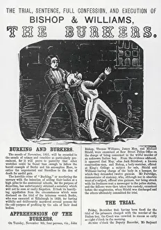 Broadsheet: BISHOP & WILLIAMS, 1831