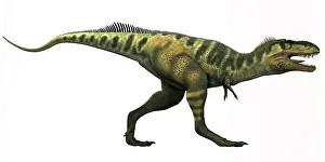 Bistahieversor: Bistahieversor dinosaur