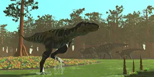 Parasaurolophus: A Bistahieversor splashes through a swampy area