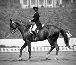 Equestrianism: Bitsa equestrian centre