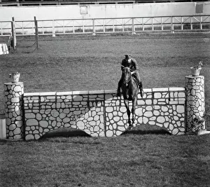 Obstacle: Bitsa equestrian centre