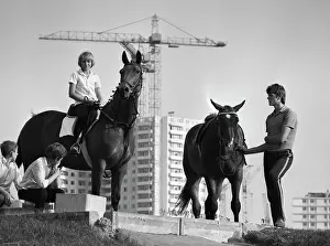 Bitsa: Bitsa equestrian centre
