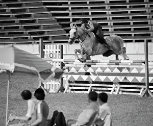 Obstacle: Bitsa horse-riding centre