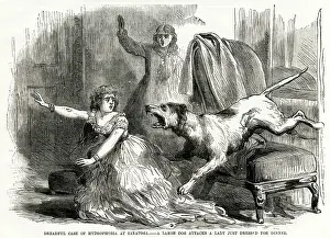 Unwell: Bitten by rabid dog 1870