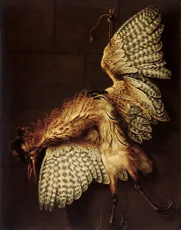 Strung: Bittern