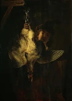 Bittern: The bittern hunter