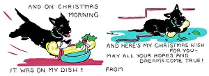 Willing: Black Aberdeen Terrier with dream Christmas present
