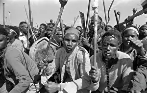 Assegais: Black African protesters, armed with cultural