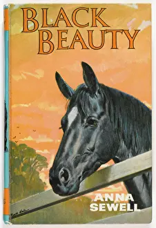Humane: BLACK BEAUTY 1967