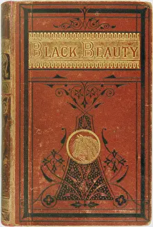 Sewell: BLACK BEAUTY/BOOK