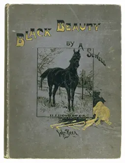 BLACK BEAUTY BOOK/C19TH