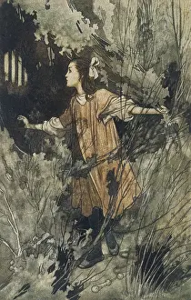 Sewell: BLACK BEAUTY COVER