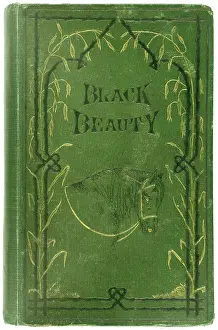 Sewell: BLACK BEAUTY/FIRST ED