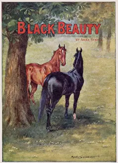 Sewell: Black Beauty and Ginger