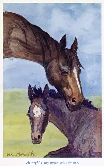 Sewell: Black Beauty and Mother