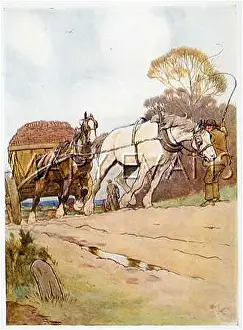 Carthorse: Black Beauty and the wagon