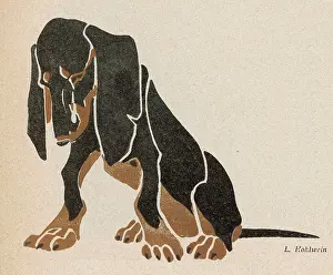 Dangling: Black and brown Dachshund