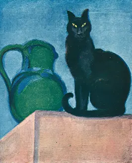 Aime: The Black Cat