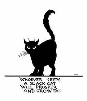 Prosper: Black Cat