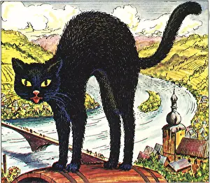 Haloween: Black Cat