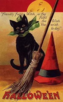 Haloween: Black Cat, Broom and Witch's Hat