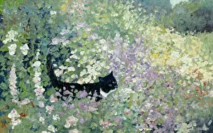 Ollie: Black cat amongst flowers