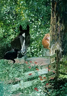 Agoust: Black cat, ginger cat and horse by gate