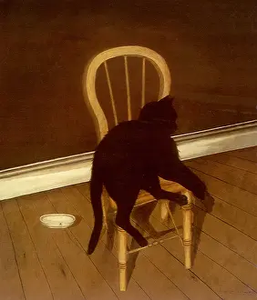 Felines: Black Cat Lying on a Chair