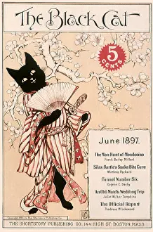 The Black Cat Magazine