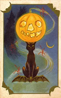 Pumpkin: Black Cat and Pumpkin