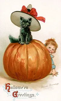 Peeking: Black Cat on Pumpkin