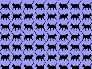 Tess Hines Designs: Black cat repeating pattern