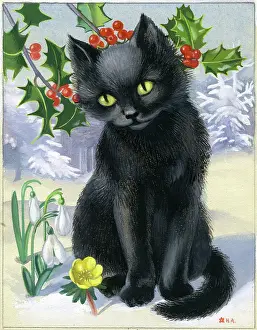 Aconite: Black Cat in the snow with holly