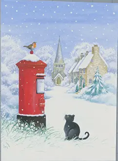 Postbox: Black cat watching robin in snow