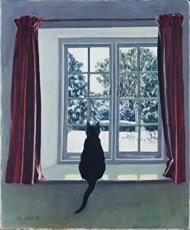 Tilly: Black cat on a window sill with snow outside