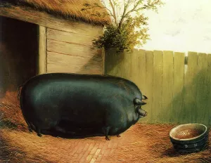 Drags: Black Chinese Sow