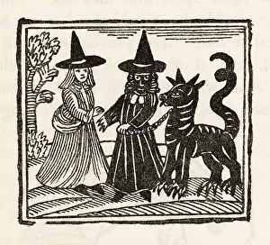 Black Dog