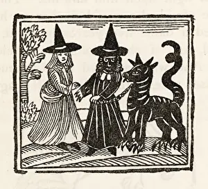 Witches: Black Dog